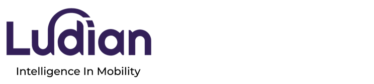 Ludian logo